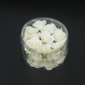 Fleurs - Rose