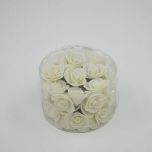 Fleurs - Rose
