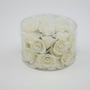 Fleurs - Rose