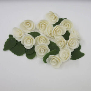 Fleurs - Rose