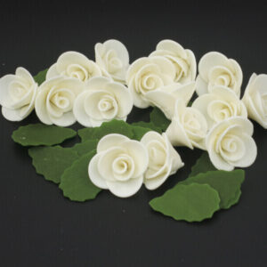 Fleurs - Rose